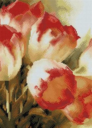 Алмазная мозаика тюльпаны 40х50 см colorart sp025