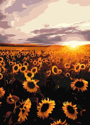 Картина по номерам origamі український пейзаж поле соняшників lw 3175 40*50 pbn-p