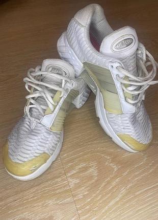 Кросівки adidas climacool