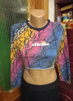 Фірмовий топ