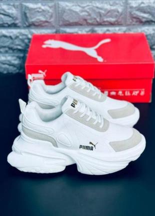 Кроссовки puma1 фото