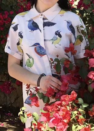 Льняное платье-рубашка с принтом птички1 фото