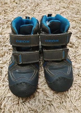 Черевики geox{осінь}29р.