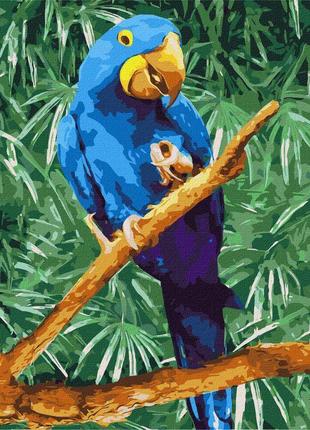 Картина за номерами блакитний папуга 40*50 см ідейка kho 4487