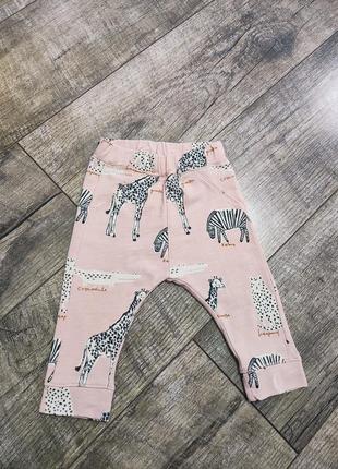 Штани дівчинці, двунітка петельки, lindex, baby, р. 6-9міс., 68-74, довжина 37см