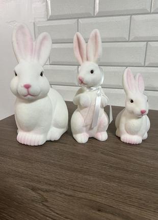 Декоративні кролики