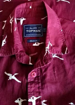 Фирменная рубашка бордового цвета принт журавли topman made in india, молниеносная отправка3 фото