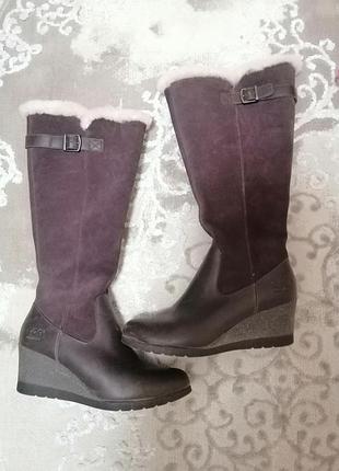 Сапоги ugg женские зима