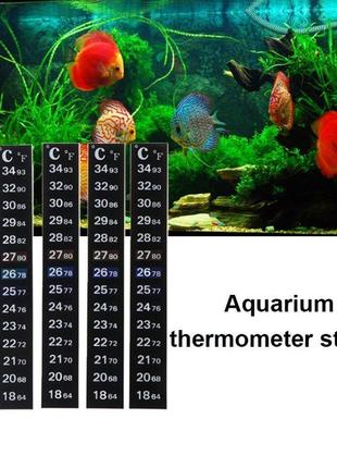 Термометр смужка в акваріум. термометр липучка.7 фото