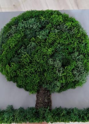 Картина "дерево" зі скандинавським мохом2 фото