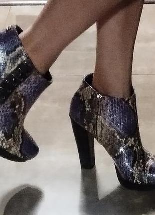 Срочно ! just cavalli, оригинал , кожаные ботильоны, питон