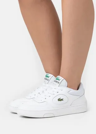 Кросівки lacoste