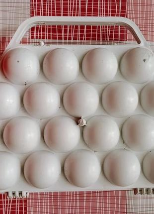 Лоток пластмасовий для яєць1 фото