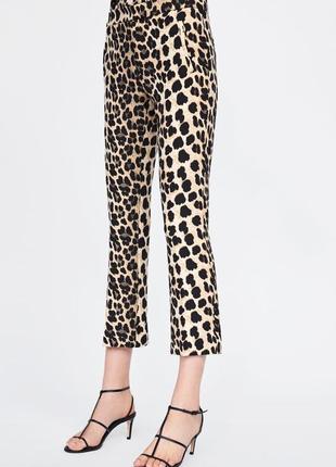 Укороченные леопардовые брюки1 фото
