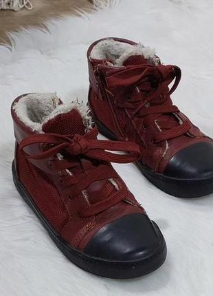 Clarks кожаные утепленные хайтопы, размер 28,5 (ru 10,5)1 фото