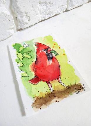 Картина аквареллю птах кардинал на бавовні мініатюрки2 фото