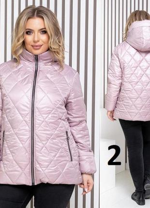 Новинка.жіноча куртка демі верба рр 48-58 в кольорах