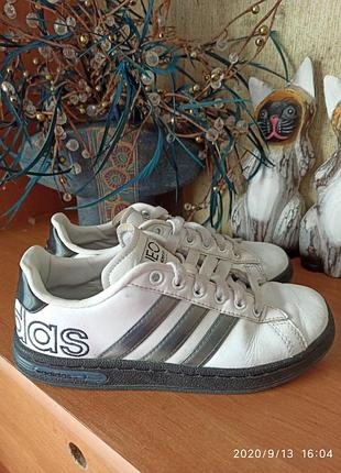 Крассовки adidas