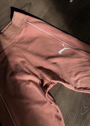 Лосіни puma