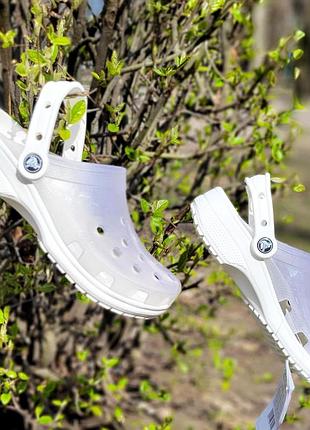 Сабо клоги кроксы прозрачные crocs translucent,  белый , оригинал1 фото