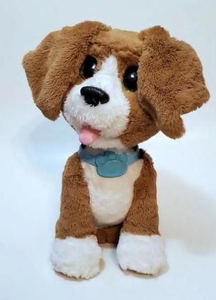 Интерактивный щенок charlie the barkin biagle hasbro  furreal friends3 фото