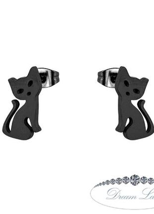 Серьги с нержавеющей медицинськои стали с эмалью "кето"