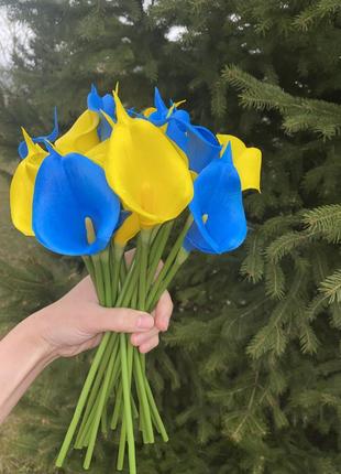 Гелеві калли у різних кольорах