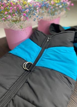 Жилет, жилет-шлейка для собак