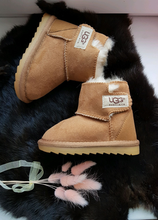 Натуральний зимові уггі на овчині ugg australia.6 фото