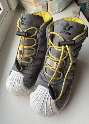 Демісезонні черевики adidas original 241 фото