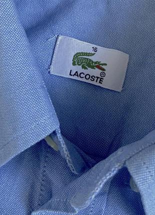 Рубашка сорочка lacoste basi s.a. котоновая хлопковая хлопок котон7 фото