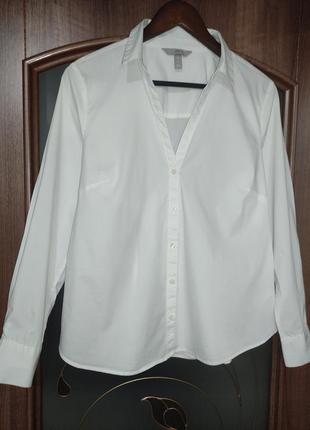 Білосніжна базова котонова сорочка / блуза h&m (бавовна)5 фото