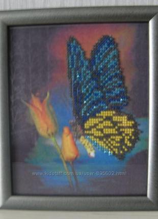 Картина з бісеру " метелик"2 фото