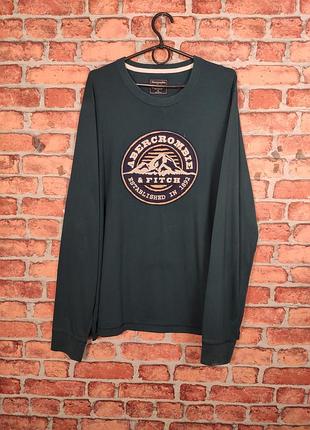 Кофта лонгслив abercrombie and fitch горы mountains