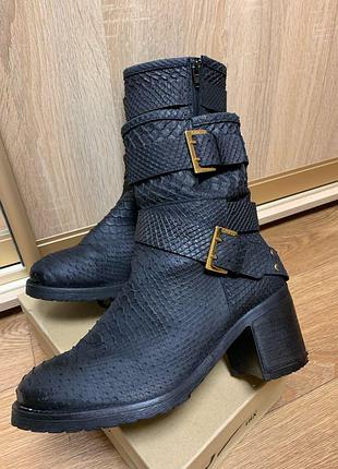 Чоботи, черевики guess оригінал на невеликому каблуці за зміїну д