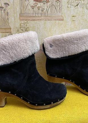 Чоботи ugg3 фото