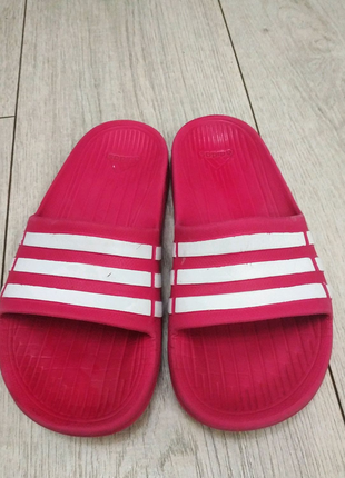 Шльопанці adidss рр 332 фото