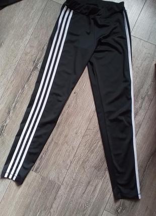 Лосіни adidas