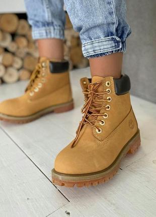 Ботинки timberland 6 inch premium yellow черевики10 фото