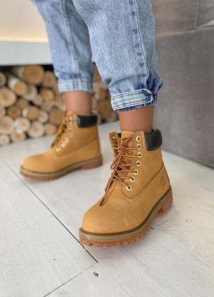 Черевики timberland 6 inch premium yellow черевики5 фото