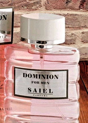 Dominion 100 ml тестер2 фото