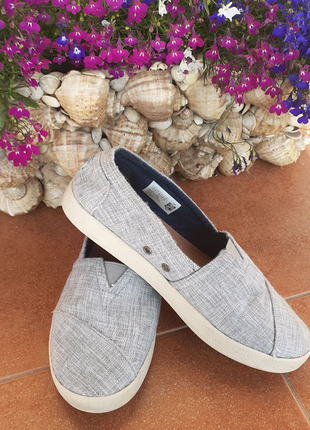 Сліпони toms