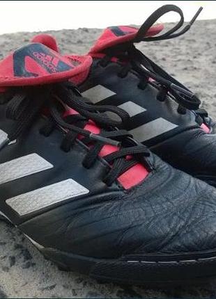 Сороконожки adidas copa tango 18.3 tf cp9022 39 1/32 фото