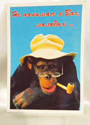 Набір листівок. =милі мавпочки=15 фото