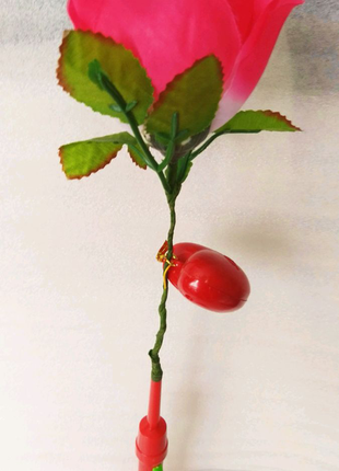 Мовець троянда, на підставці, з підсвічуванням.13 фото