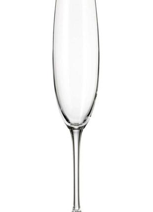 Набор бокалов bohemia fulica 250 мл для шампанского 6 шт 1sf86 250 boh1 фото