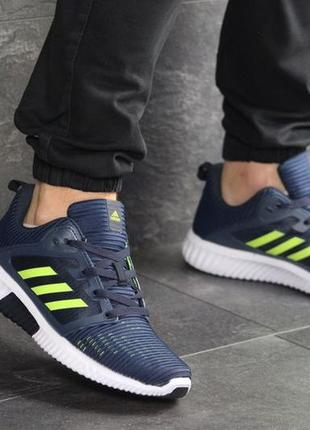 Кроссовки adidas climacool сине-салатовые