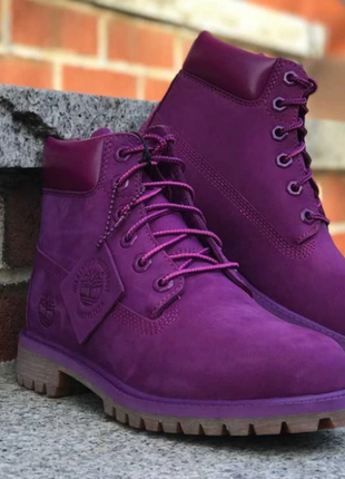 Ботинки  timberland premium 6 inch boot bright purple nubuck1 фото