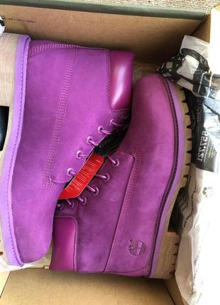 Ботинки  timberland premium 6 inch boot bright purple nubuck2 фото