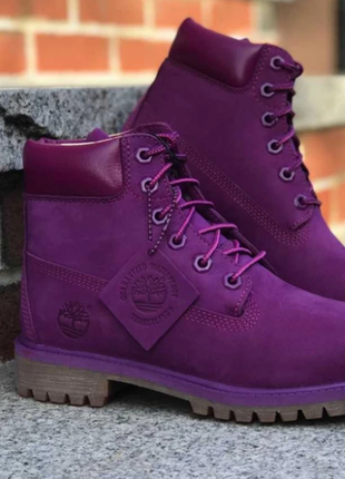 Ботинки  timberland premium 6 inch boot bright purple nubuck7 фото